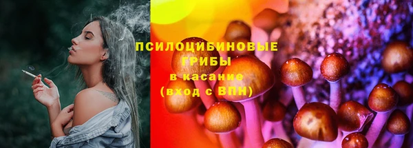спиды Бородино