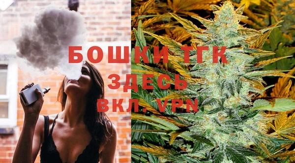 спиды Бородино