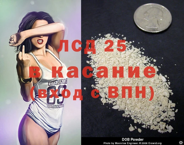 спиды Бородино