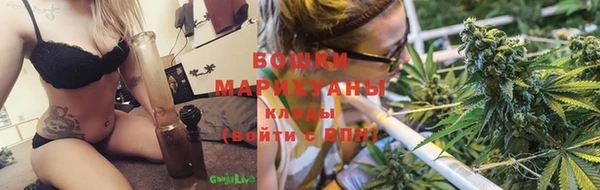 спиды Бородино